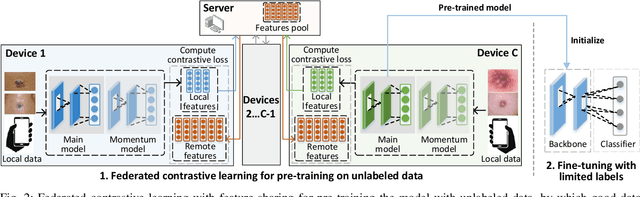 Figure 2 for Federated Contrastive Learning for Dermatological Disease Diagnosis via On-device Learning