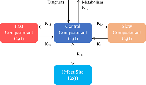 Figure 4 for A Transformer-based Prediction Method for Depth of Anesthesia During Target-controlled Infusion of Propofol and Remifentanil