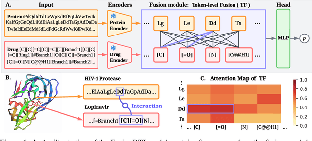 Figure 1 for FusionDTI: Fine-grained Binding Discovery with Token-level Fusion for Drug-Target Interaction