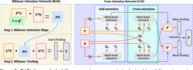 Figure 3 for FusionDTI: Fine-grained Binding Discovery with Token-level Fusion for Drug-Target Interaction