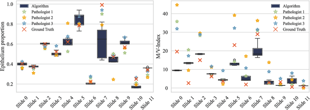 Figure 4 for Automated Volume Corrected Mitotic Index Calculation Through Annotation-Free Deep Learning using Immunohistochemistry as Reference Standard