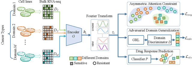Figure 1 for Generalize Drug Response Prediction by Latent Independent Projection for Asymmetric Constrained Domain Generalization