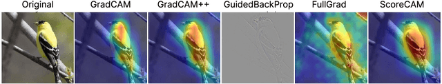 Figure 2 for Lost in Context: The Influence of Context on Feature Attribution Methods for Object Recognition