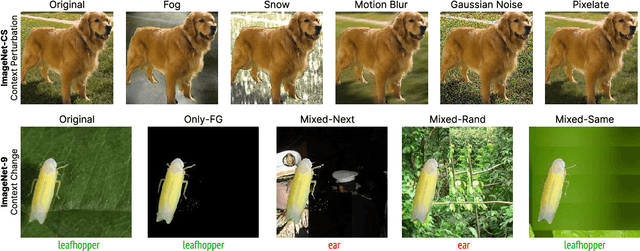 Figure 3 for Lost in Context: The Influence of Context on Feature Attribution Methods for Object Recognition