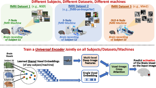 Figure 1 for The Wisdom of a Crowd of Brains: A Universal Brain Encoder