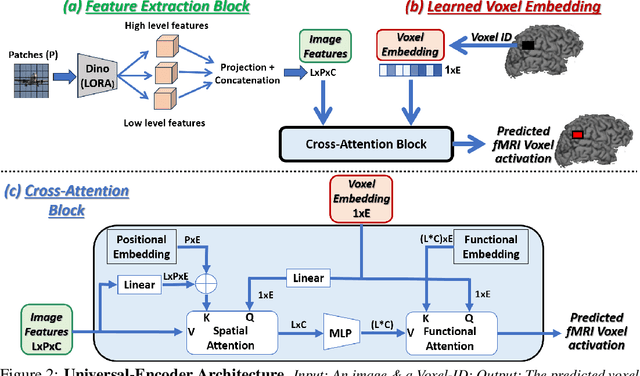 Figure 2 for The Wisdom of a Crowd of Brains: A Universal Brain Encoder