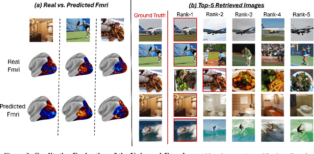 Figure 3 for The Wisdom of a Crowd of Brains: A Universal Brain Encoder