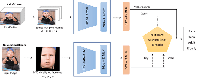 Figure 4 for P-Age: Pexels Dataset for Robust Spatio-Temporal Apparent Age Classification