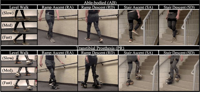 Figure 2 for Simultaneous Locomotion Mode Classification and Continuous Gait Phase Estimation for Transtibial Prostheses