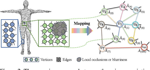 Figure 3 for ProGraph: Temporally-alignable Probability Guided Graph Topological Modeling for 3D Human Reconstruction