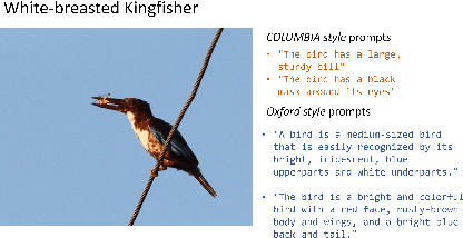 Figure 2 for Real Classification by Description: Extending CLIP's Limits of Part Attributes Recognition