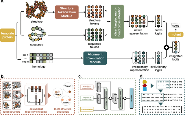 Figure 1 for Retrieval-Enhanced Mutation Mastery: Augmenting Zero-Shot Prediction of Protein Language Model