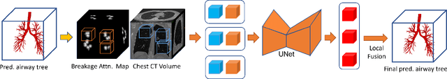 Figure 4 for Accurate Airway Tree Segmentation in CT Scans via Anatomy-aware Multi-class Segmentation and Topology-guided Iterative Learning