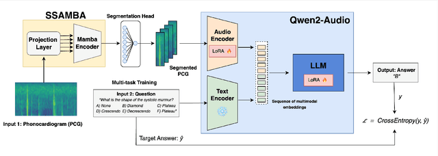 Figure 1 for Exploring Finetuned Audio-LLM on Heart Murmur Features