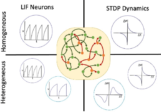 Figure 1 for Exploiting Heterogeneity in Timescales for Sparse Recurrent Spiking Neural Networks for Energy-Efficient Edge Computing