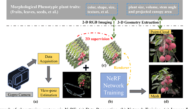 Figure 4 for High-fidelity 3D Reconstruction of Plants using Neural Radiance Field