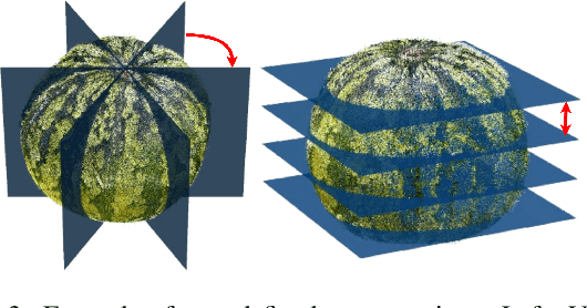 Figure 4 for FruitNinja: 3D Object Interior Texture Generation with Gaussian Splatting