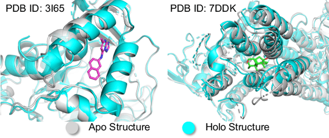Figure 1 for Apo2Mol: 3D Molecule Generation via Dynamic Pocket-Aware Diffusion Models