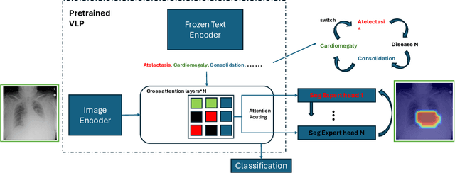 Figure 1 for Dwarf: Disease-weighted network for attention map refinement