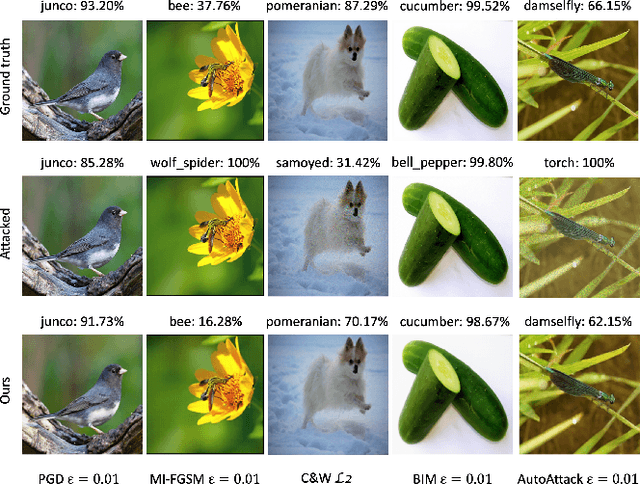 Figure 1 for Leveraging Generalizability of Image-to-Image Translation for Enhanced Adversarial Defense