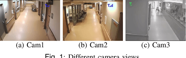 Figure 1 for Depth-Weighted Detection of Behaviours of Risk in People with Dementia using Cameras