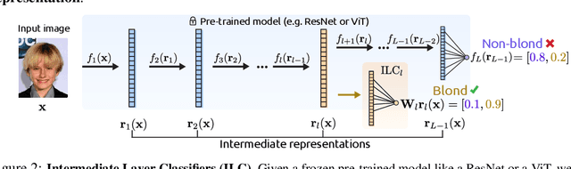 Figure 3 for Intermediate Layer Classifiers for OOD generalization