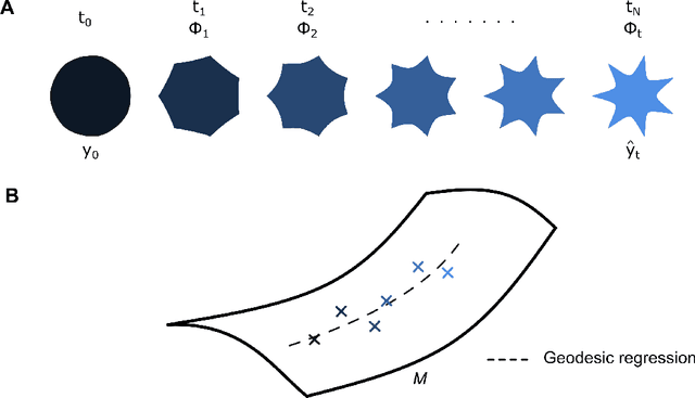 Figure 4 for Shape Modeling of Longitudinal Medical Images: From Diffeomorphic Metric Mapping to Deep Learning