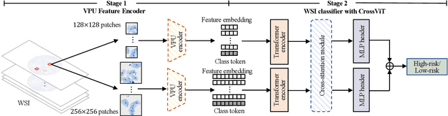 Figure 3 for Clinical-Inspired Cytological Whole Slide Image Screening with Just Slide-Level Labels