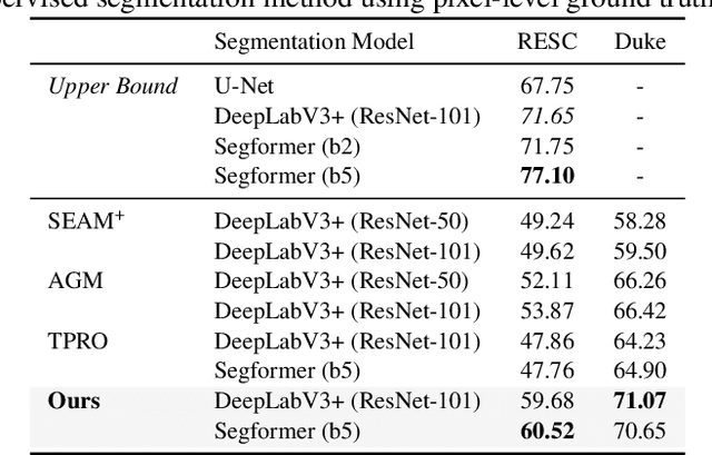 Figure 4 for A Multimodal Approach Combining Structural and Cross-domain Textual Guidance for Weakly Supervised OCT Segmentation