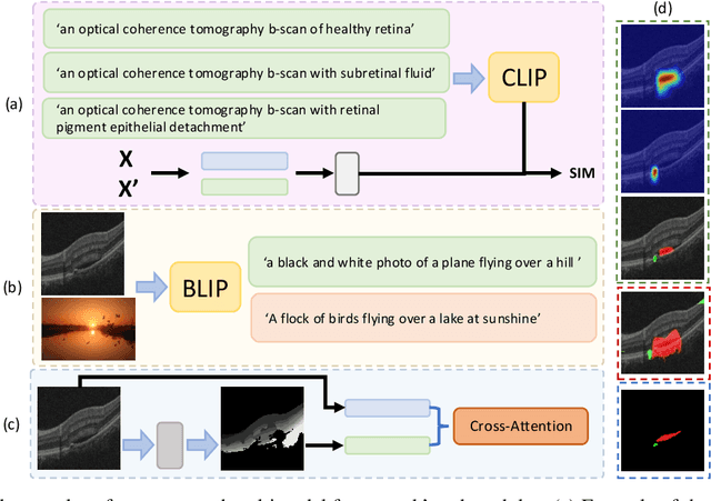 Figure 1 for A Multimodal Approach Combining Structural and Cross-domain Textual Guidance for Weakly Supervised OCT Segmentation