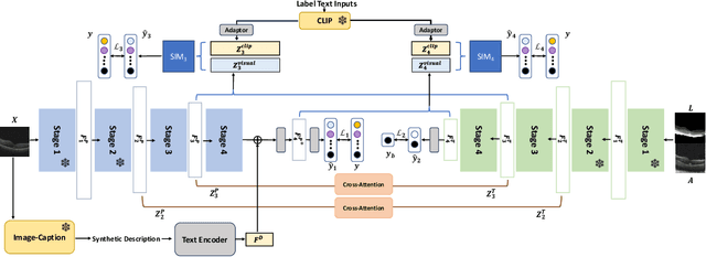 Figure 3 for A Multimodal Approach Combining Structural and Cross-domain Textual Guidance for Weakly Supervised OCT Segmentation