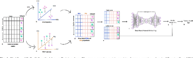 Figure 1 for Lower-dimensional projections of cellular expression improves cell type classification from single-cell RNA sequencing