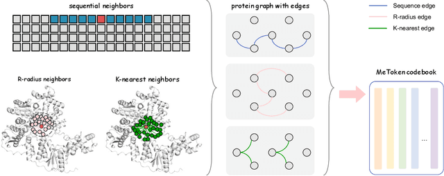 Figure 3 for MeToken: Uniform Micro-environment Token Boosts Post-Translational Modification Prediction