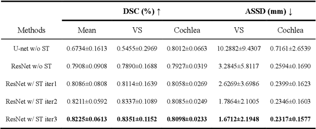 Figure 2 for Image Translation-Based Unsupervised Cross-Modality Domain Adaptation for Medical Image Segmentation