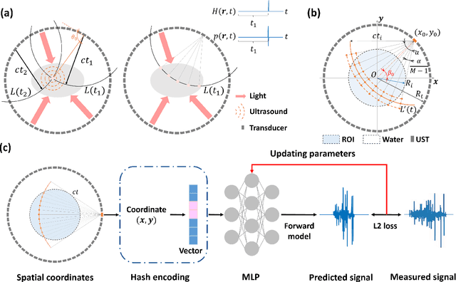 Figure 1 for Sparse-view Signal-domain Photoacoustic Tomography Reconstruction Method Based on Neural Representation