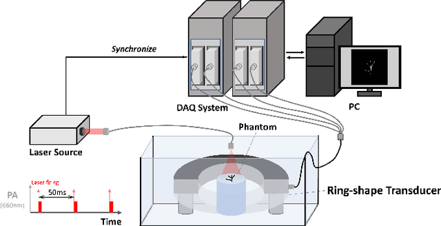 Figure 2 for Sparse-view Signal-domain Photoacoustic Tomography Reconstruction Method Based on Neural Representation