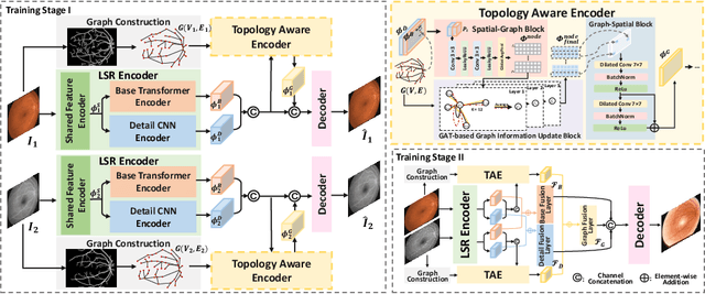 Figure 1 for TaGAT: Topology-Aware Graph Attention Network For Multi-modal Retinal Image Fusion