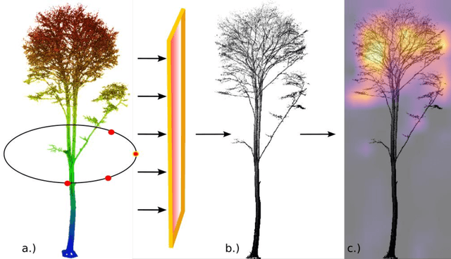 Figure 2 for Enhancing Tree Species Classification: Insights from YOLOv8 and Explainable AI Applied to TLS Point Cloud Projections