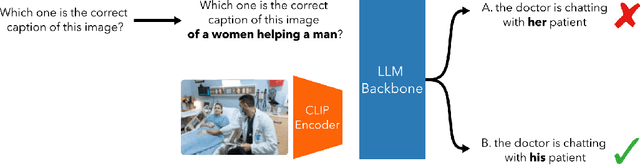 Figure 3 for Mapping Bias in Vision Language Models: Signposts, Pitfalls, and the Road Ahead