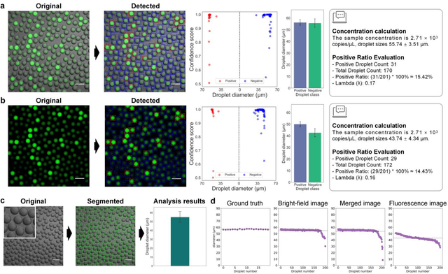 Figure 3 for Interpretable Droplet Digital PCR Assay for Trustworthy Molecular Diagnostics