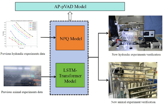 Figure 1 for A LSTM-Transformer Model for pulsation control of pVADs