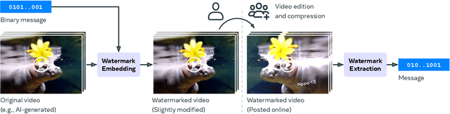 Figure 1 for Video Seal: Open and Efficient Video Watermarking