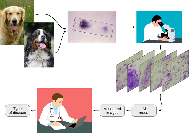 Figure 1 for Segmentation of the veterinary cytological images for fast neoplastic tumors diagnosis