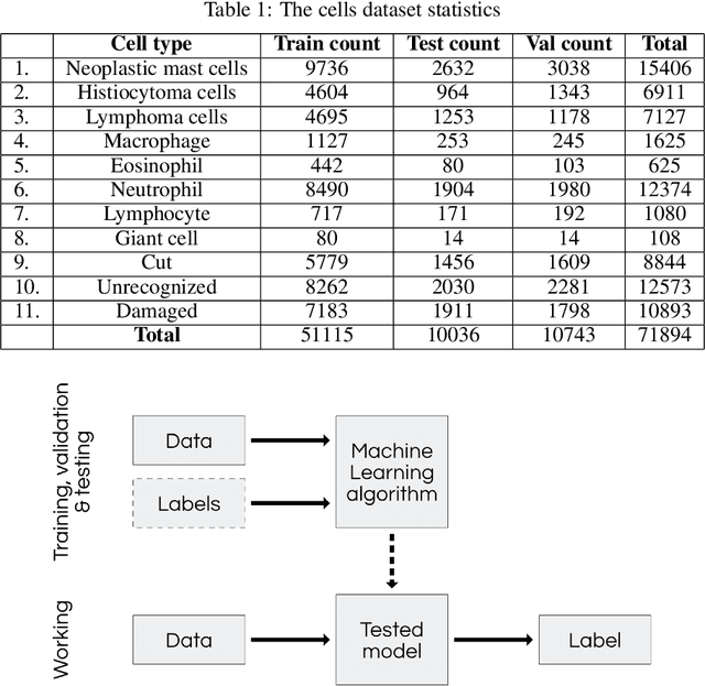 Figure 2 for Segmentation of the veterinary cytological images for fast neoplastic tumors diagnosis