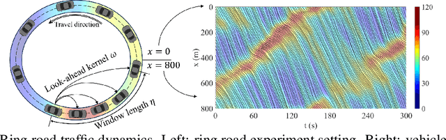 Figure 1 for Learning "Look-Ahead" Nonlocal Traffic Dynamics in a Ring Road