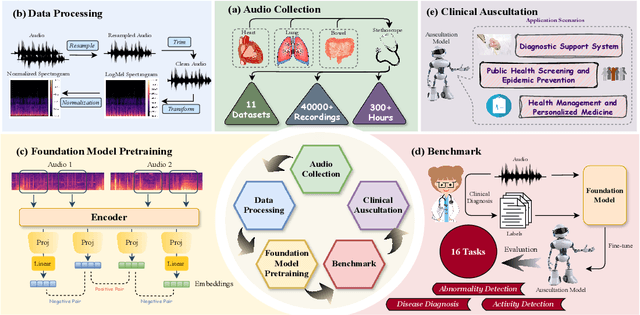 Figure 1 for AuscultaBase: A Foundational Step Towards AI-Powered Body Sound Diagnostics