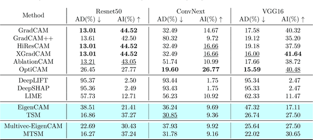 Figure 2 for CNN Explainability with Multivector Tucker Saliency Maps for Self-Supervised Models