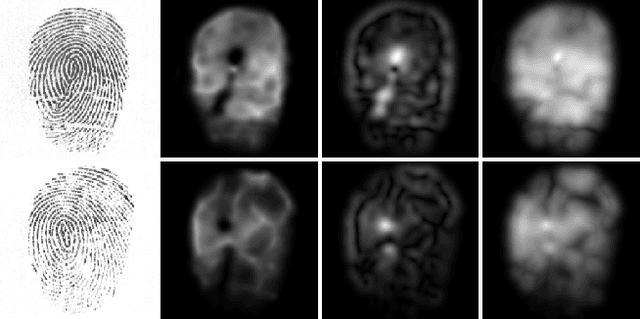 Figure 3 for Fingerprint Image-Quality Estimation and its Application to Multialgorithm Verification