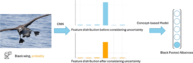 Figure 2 for Uncertainty-Aware Explainable Federated Learning