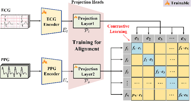 Figure 2 for ECG-guided individual identification via PPG